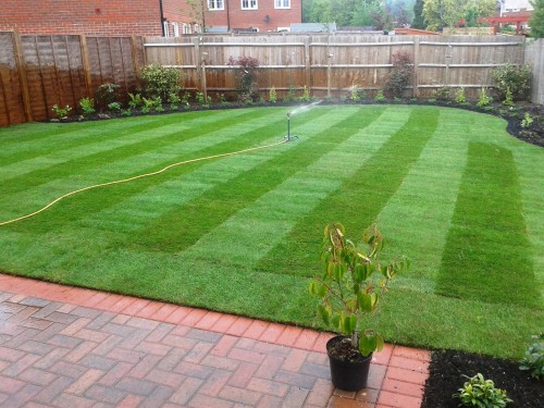 Premium Turf - Image 3