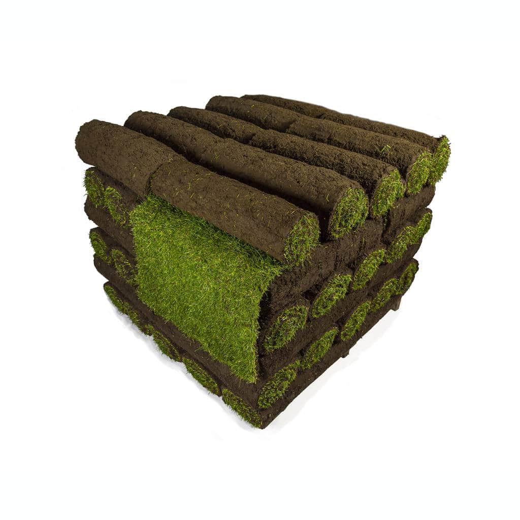 Premium Turf - Image 2
