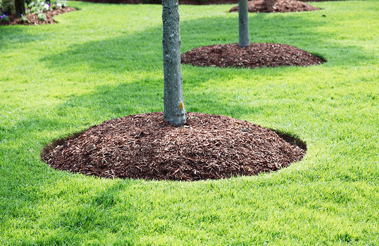Bark Mulch - Bulk Bag - Image 3