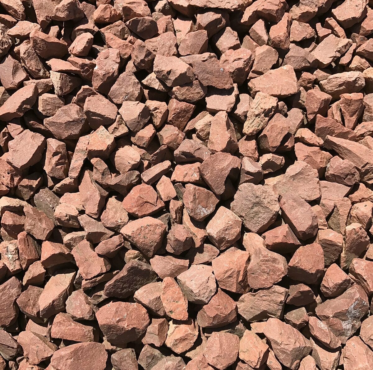 Red Whin Chip