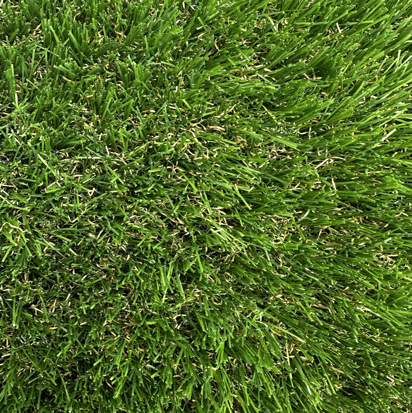 Islay Luxe 38 Artificial Grass - Image 3