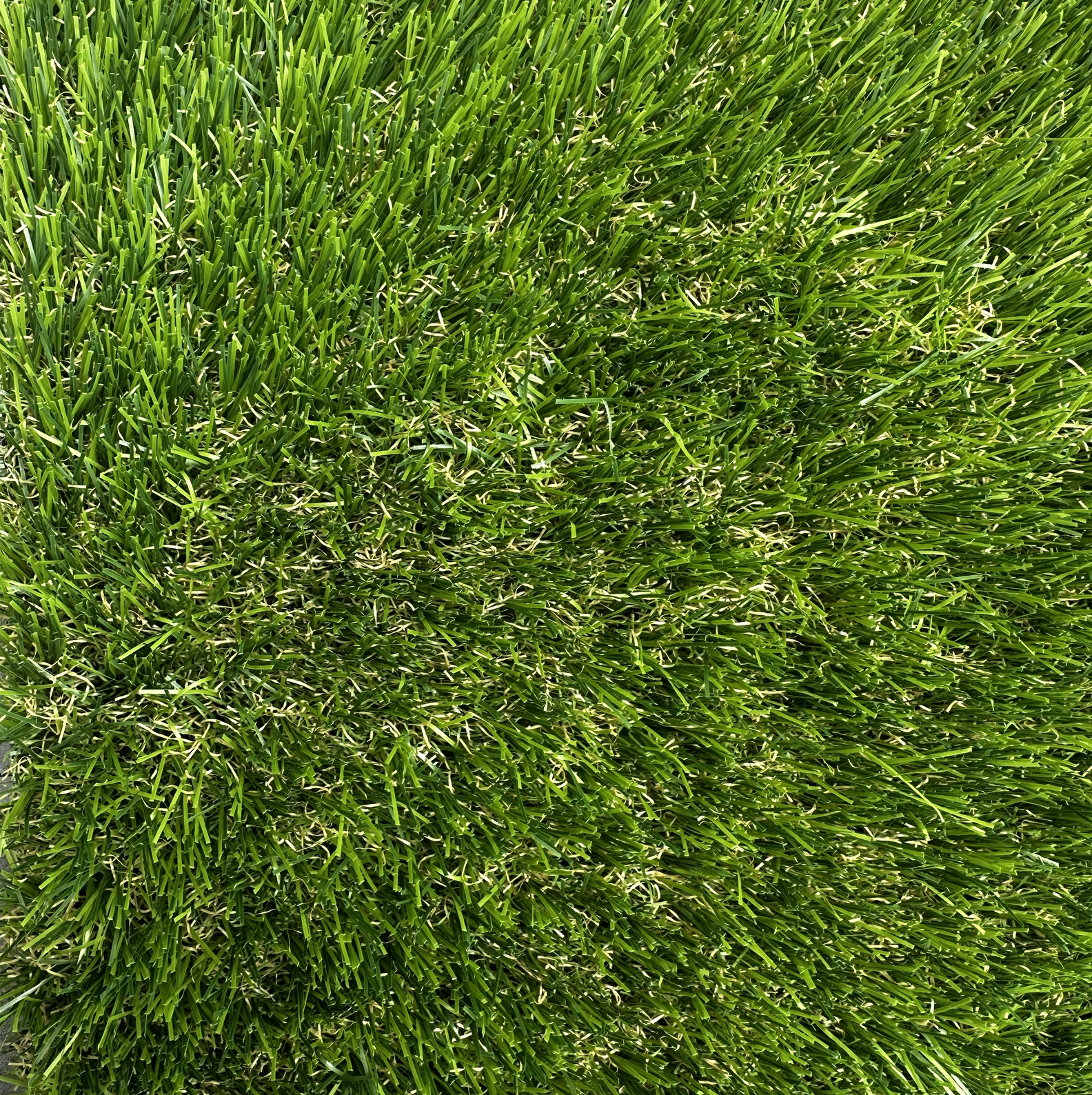 St Kilda PU 35 Artificial Grass - Image 3