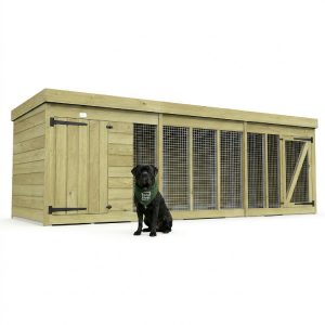 12 x 4 Dog Kennel And Run