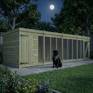 16 x 6 Dog Kennel And Run