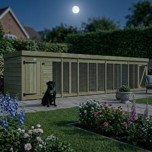 18 x 4 Dog Kennel And Run