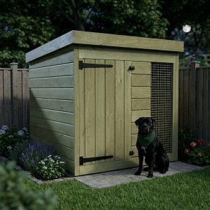4 x 4 Dog Kennel And Run