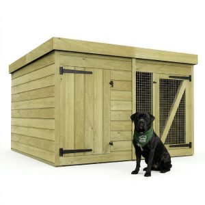 6 x 6 Dog Kennel And Run